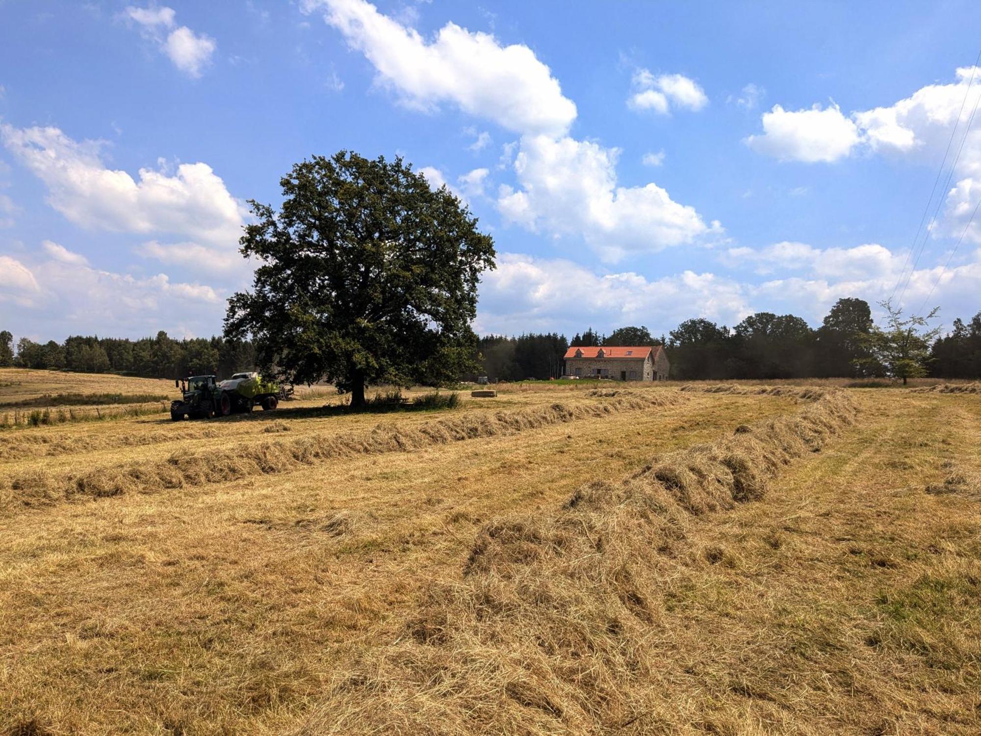 La Petite Maison Dans La Prairie *